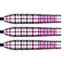 Darts SHOT! Zen Juji 80%