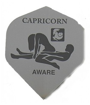 [p0324 s141] Metalica - Hard Foil Flights S141