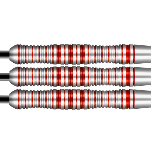 [p3226] Darts SHOT! Zen Enso 80%