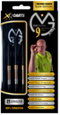XQ Max Darts Michael van Gerwen Career Slam Edition