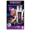Darts Red Dragon Peter Wright Snakebite World Champion 2020