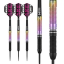 Darts Red Dragon Peter Wright Snakebite World Champion 2020