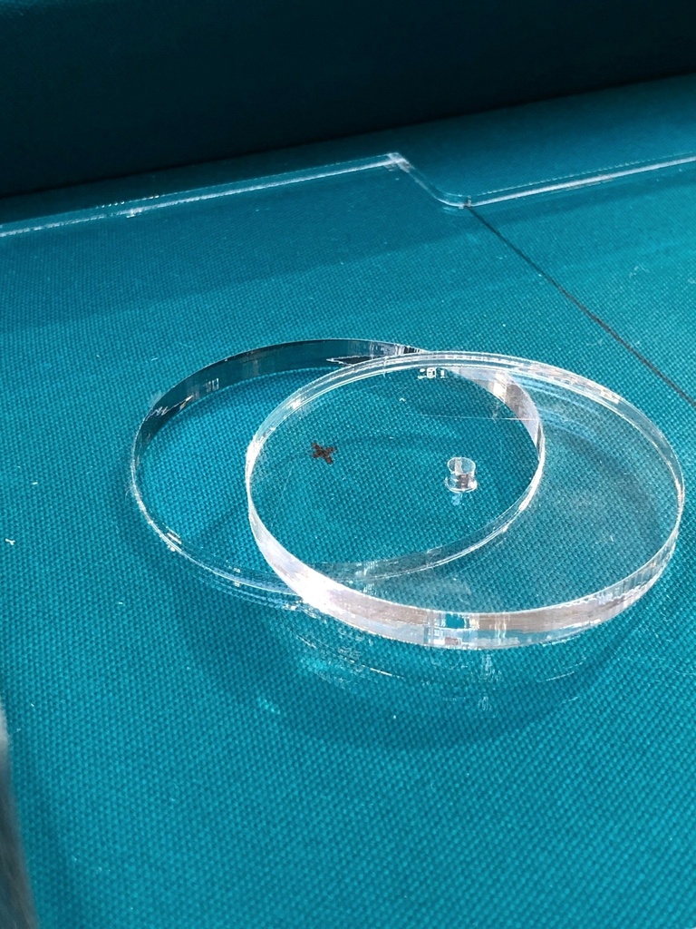 Plexi Meettoestel voor het Opgaan