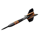 Darts Target Raymond van Barneveld Black 80% Tungsten