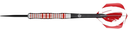 Darts SHOT! Zen Enso 80%