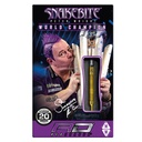 Darts Red Dragon Peter Wright Euro 11 Gold PC20
