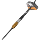 Bull's Dirk van Duijvenbode CP Steeltip 95%