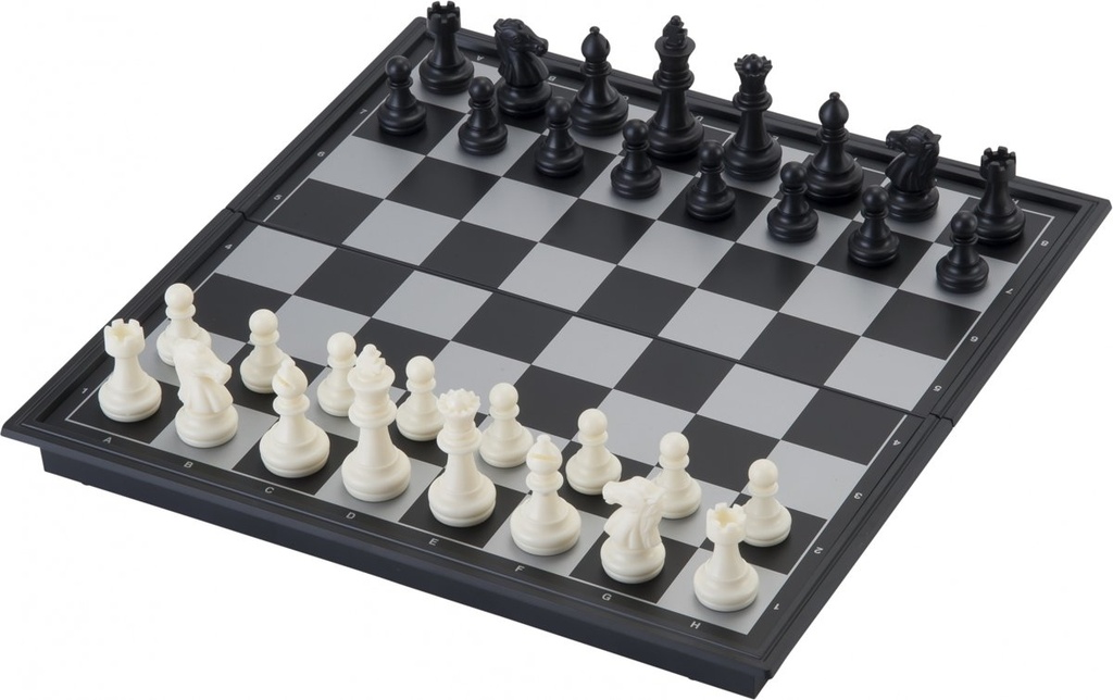 Reis Schaakspel Magnetisch