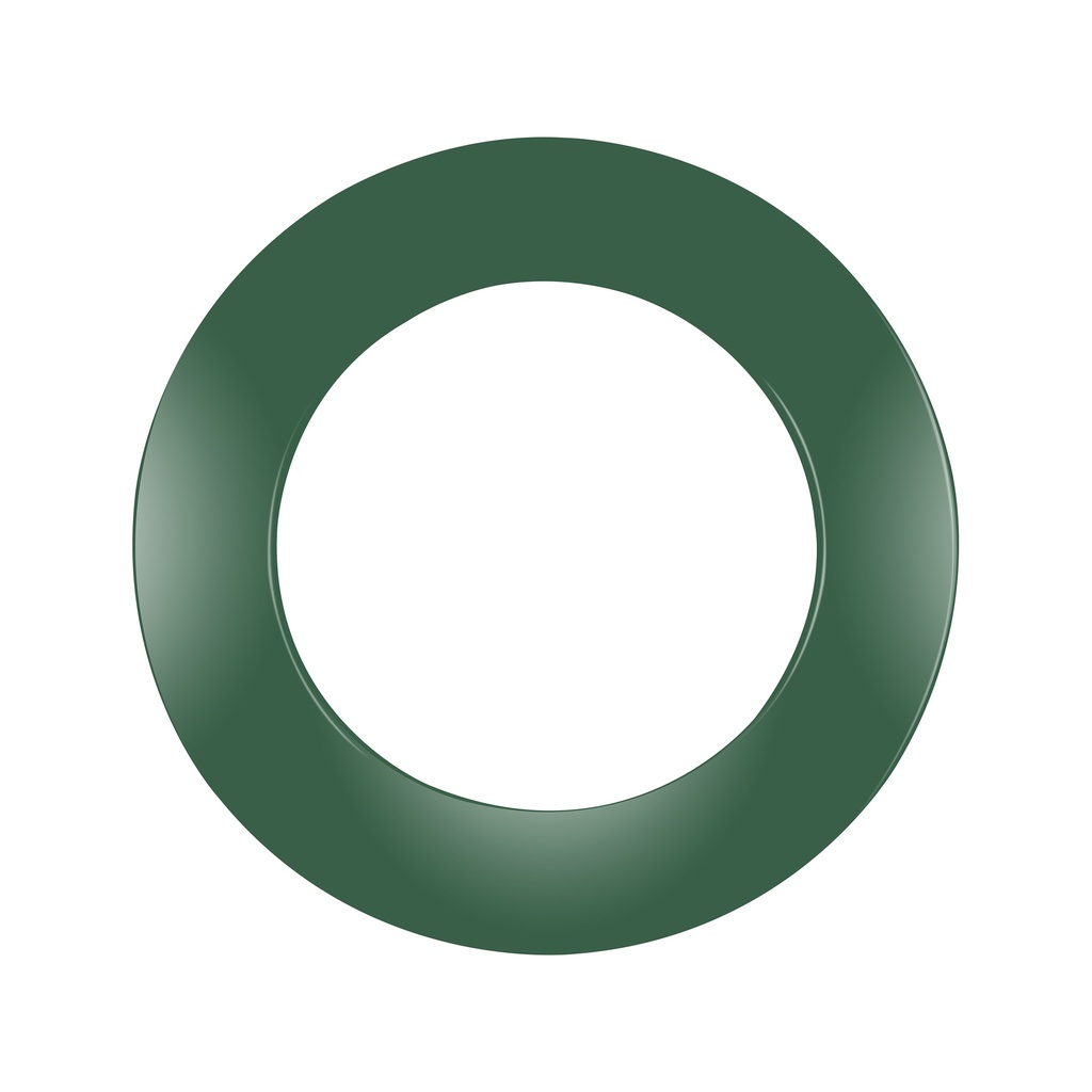 Cible Darts Anneau Protection Vert