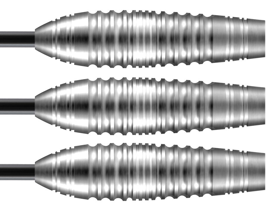 Darts SHOT! Zen Budo 80%