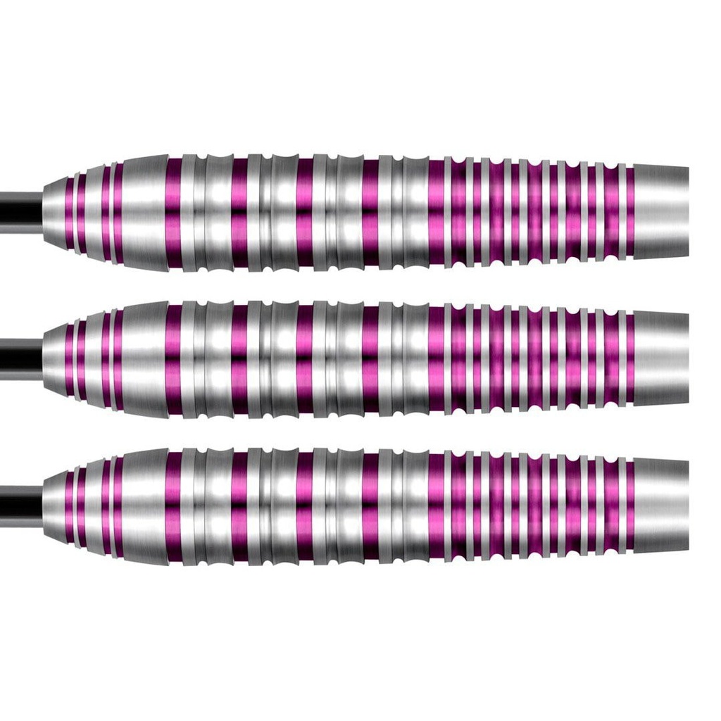 Darts SHOT! Zen Juji 80%