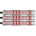 Darts SHOT! Zen Enso 80%