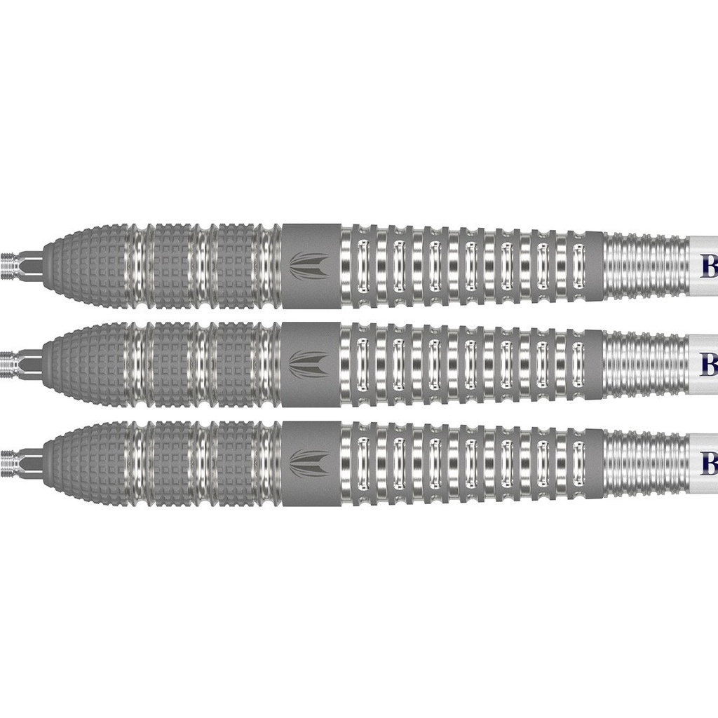 Fléchettes Target Raymond van Barneveld Barney25 95% Tungstène