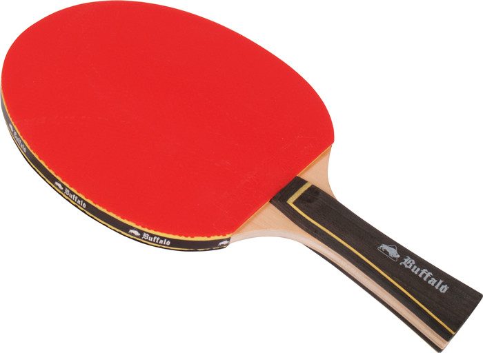 Tafeltennis Palet Talent
