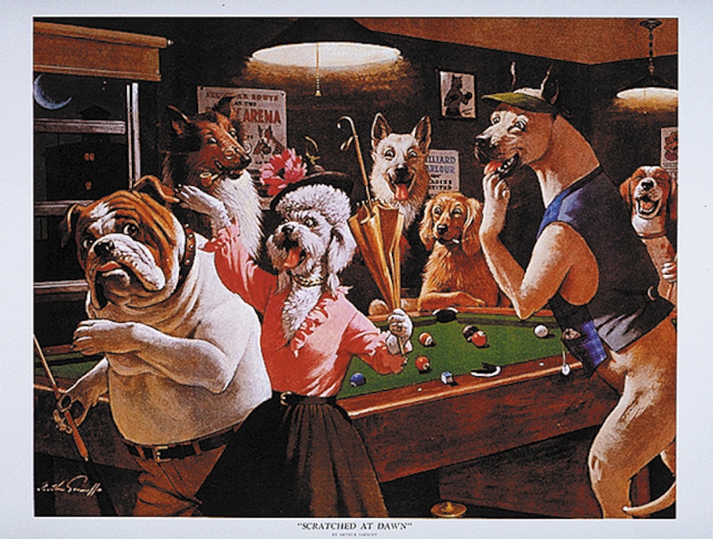 Poster "Dogs - Scratched"