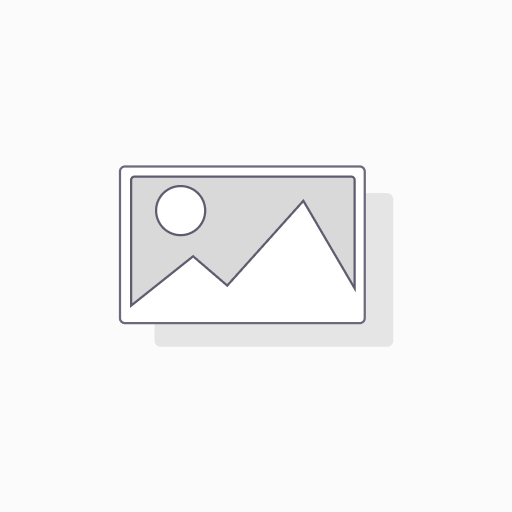 [885] Dart Veer Metronic