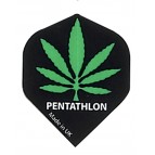 [p336 Pentathlon 10 sets 2037] Pentathlon 10 sets 2037