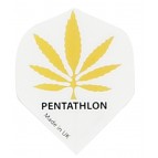 [336 Pentathlon 10 sets 2035] Pentathlon 10 sets 2035