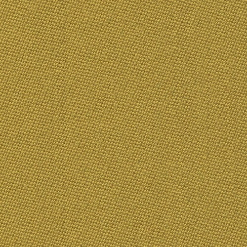 [3446 Goud] Poollaken Simonis 860 Goud