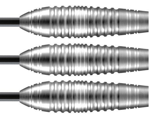 Darts SHOT! Zen Budo 80%