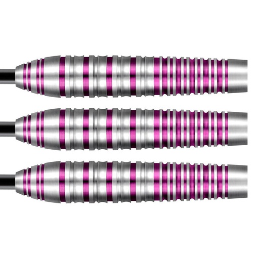 Darts SHOT! Zen Juji 80%