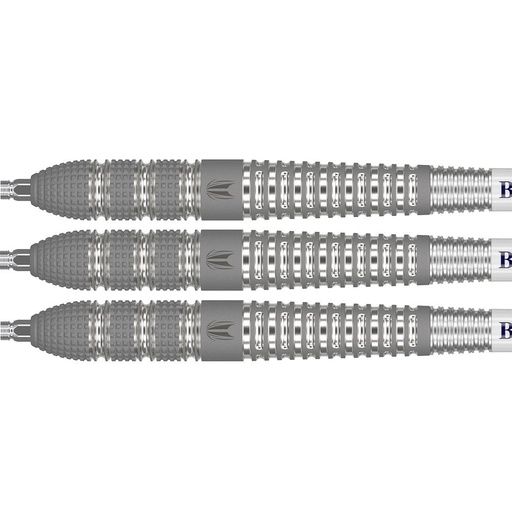 [p6018] Darts Target Raymond van Barneveld Barney 25 95% Tungsten