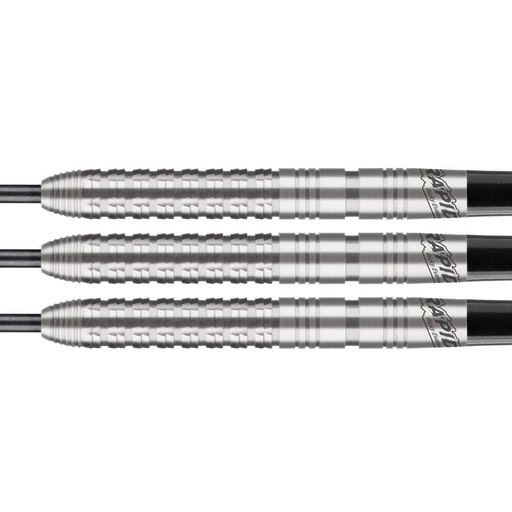 Darts Bull's Ricky Evans 80%